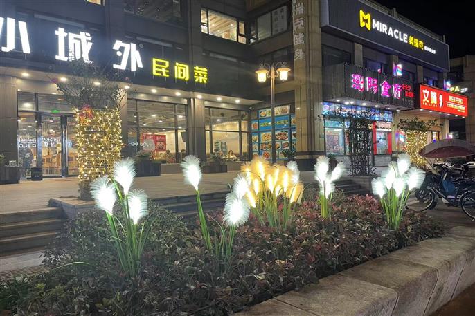 东升国际官网-相信品牌力量